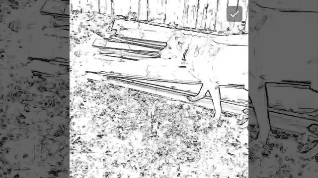 Check out this wacky Dog смотреть онлайн