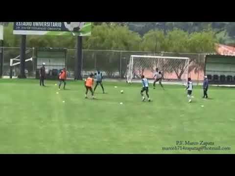 Интегральное Анаэробное Сопротивление P.F. Марко Сапата смотреть онлайн