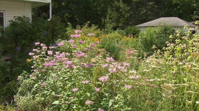 Great Gardening - Sow and Grow: Saving and Replanting Seeds смотреть онлайн