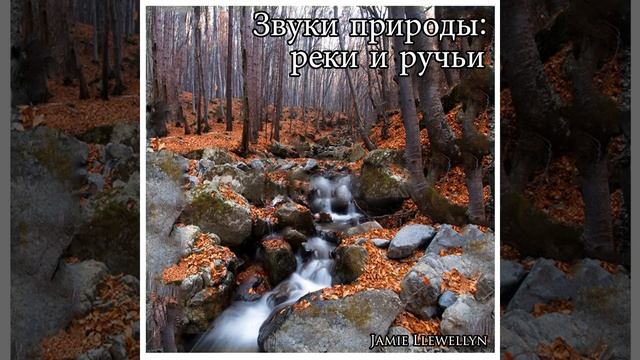 Звуки природы: реки и ручьи смотреть онлайн