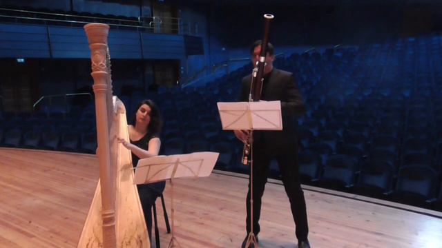 Tchaikovsky" October " Bassoon and Harp Roman Reznik,Delphine Constantin смотреть онлайн