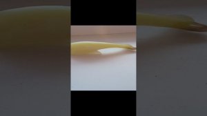 VID_20240309_180301