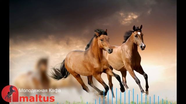 Молодежная Кафа  [Amaltus]