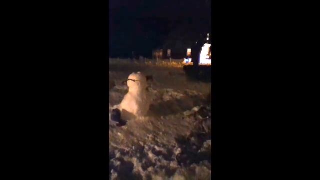 Snowman Hunters смотреть онлайн