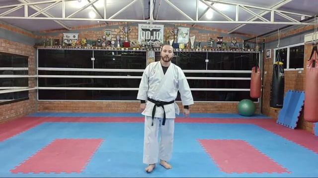 51 LIVE | Karate em Casa | Aula de Técnicas de Kihon Shotokan смотреть онлайн