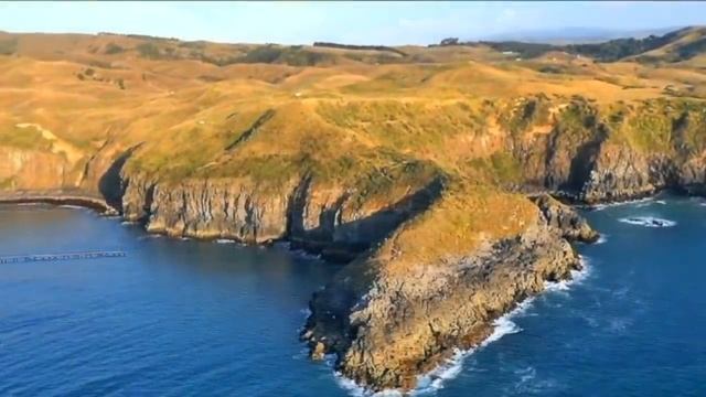 Музыка для снятия стресса смотреть онлайн