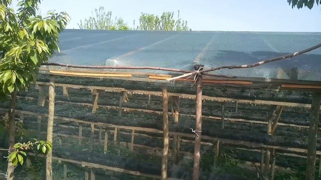 Малообъемка!Натягиваем затеняющую сетку, и пленку !