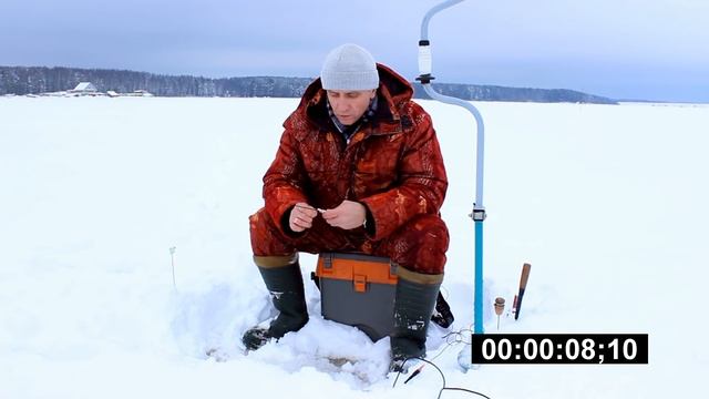 Безкивковка "Бабочка". Сравниваем с кобылкой смотреть онлайн