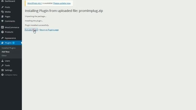 Pro MLM - WordPress and Plugin Installation смотреть онлайн