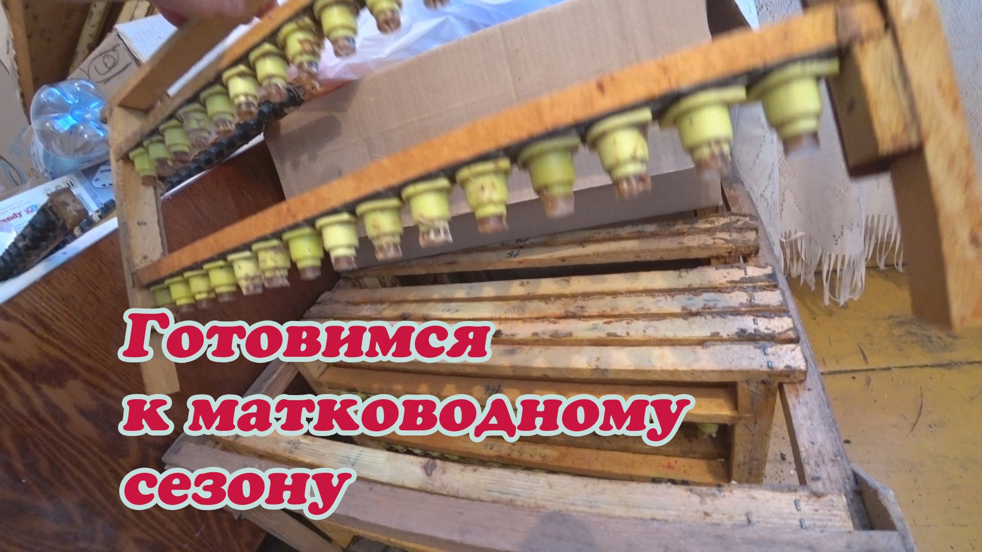 ГОТОВИМСЯ К МАТКОВОДНОМУ СЕЗОНУ, РАМКИ, ЗАСТАВНЫЕ ДОСКИ, ЗИМОВКА ПЧЁЛ И КАК ДЕЛА У НАЙДЫ смотреть онлайн