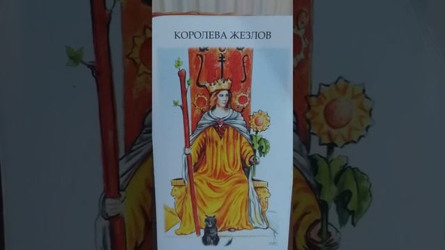 ЗначениеТаро карты(Королева жезлов).Уроки таро#Магия таро#Азы таро# смотреть онлайн