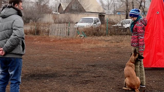 сдача ОКД смотреть онлайн