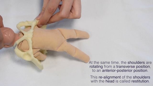 Mechanism of Labour & Fetal Positions - OSCE Guide смотреть онлайн