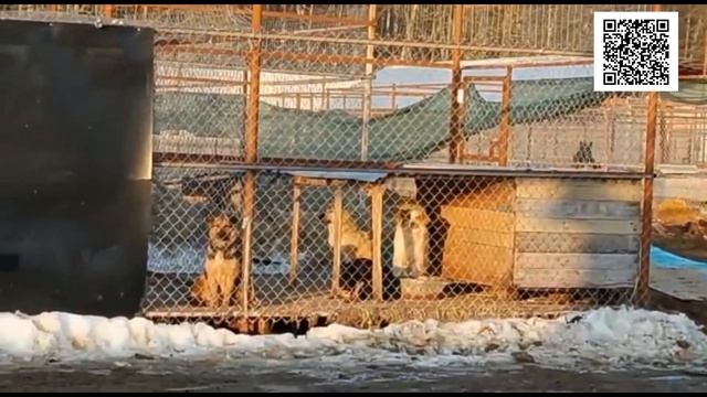 Только половина/Only half смотреть онлайн