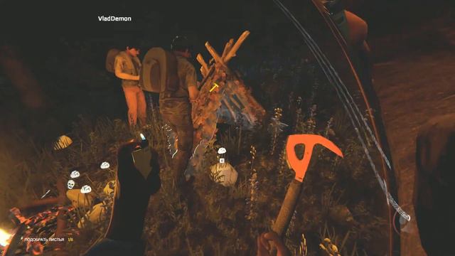 Беги Forest, беги!!! смотреть онлайн