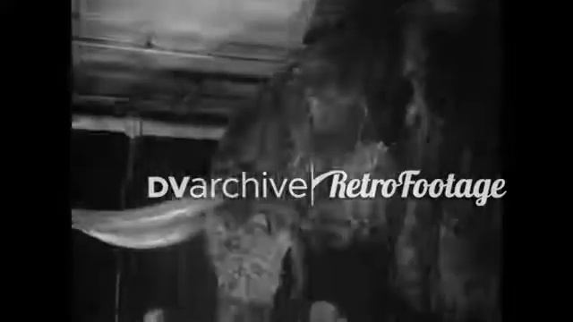 1930 - Proto-animatronic dinosaurs and animals are shown off смотреть онлайн