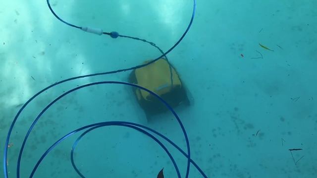 Чистильщик бассейнов! Dolphin, Triton. смотреть онлайн