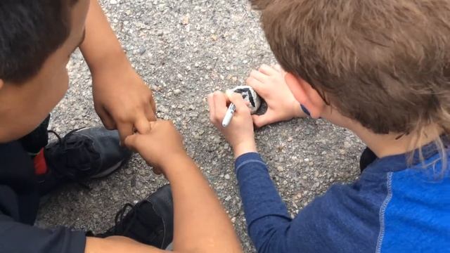 How to make a pet rock!!! смотреть онлайн