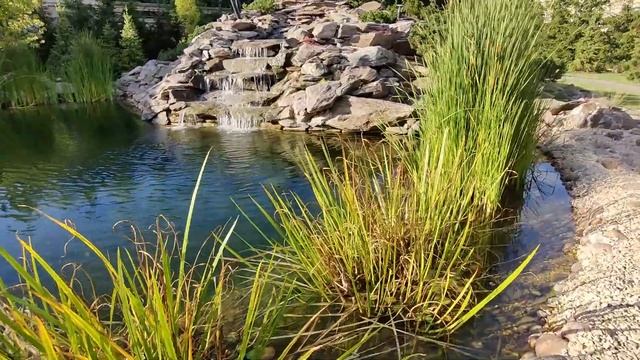 Пруд для купания и рыбы. Как мы сделали красивый пруд с каскадом и ручьём. Пруд с осетрами смотреть онлайн