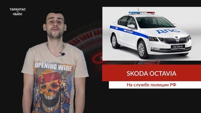 Компания Skoda передала полиции 3870 патрульных машин на базе Octavia смотреть онлайн
