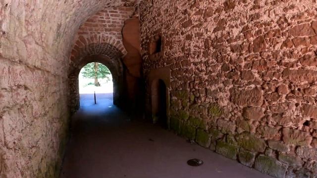 Meine schönste Wanderung bei Bad Dürkheim / Pfälzer Wald смотреть онлайн