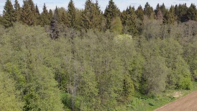 Видео природы с квадрокоптера. Nature video from a quadrocopter. смотреть онлайн