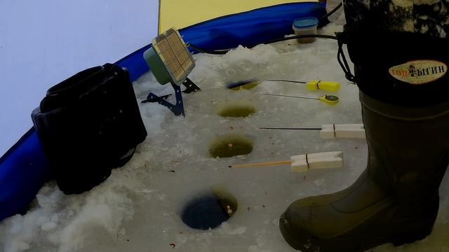 Зимняя рыбалка январь 2019 года. смотреть онлайн