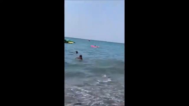 Самоеды на море) П-к Снежная Руссия +79163125530 (щенки Самоеда) смотреть онлайн