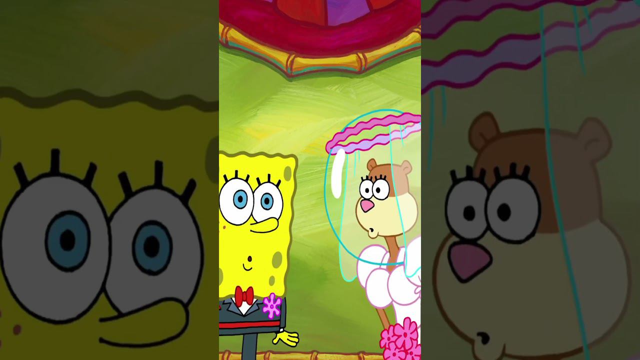Губка Боб и Сэнди поженились!? #shorts смотреть онлайн