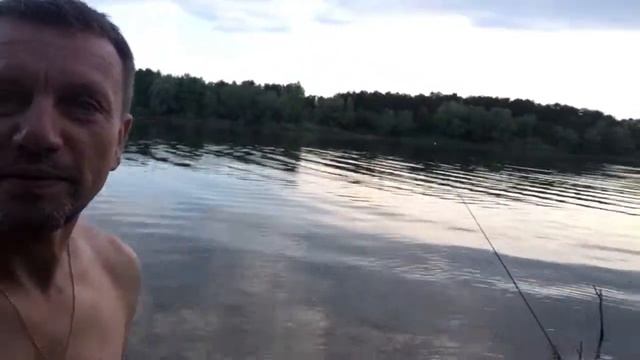 Замечательный день на Муравьином острове без муравьев, комаров, мух, ос и других летающих гадов. смотреть онлайн