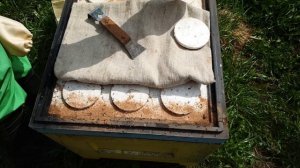 Муравьи в ульях! Что делать? Самый лёгкий способ как избавиться от муравьёв на пасеке за 1 минуту