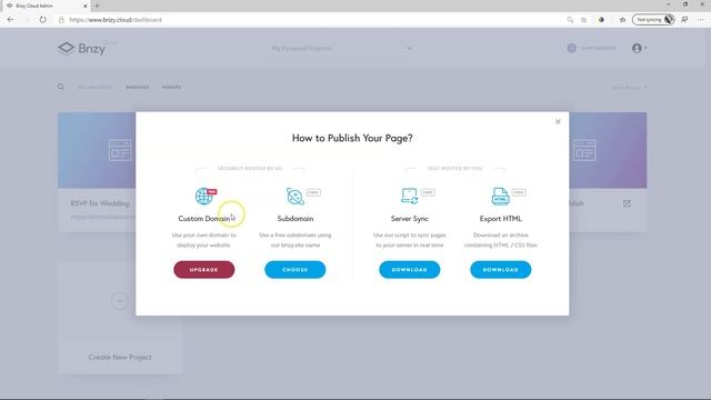 Secure Your Site: Brizy's Guide to SSL Certificates, Custom Domains, and AWS Hosting смотреть онлайн