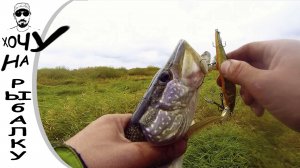 НЕВЕРОЯТНО МЫ ПОСВЯТИЛИ РЫБАЛКЕ ВЕСЬ ДЕНЬ мы все же нашли щуку фильм 2