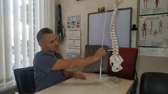 Опора под поясничный отдел позвоночника смотреть онлайн