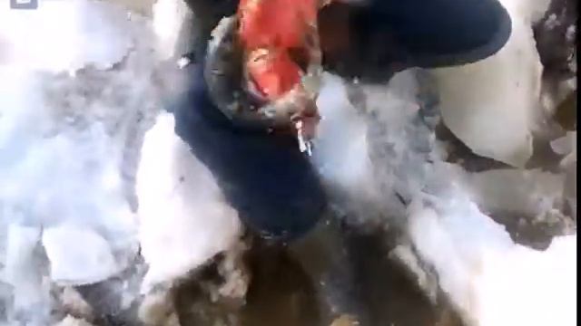 Ловля рыбы на пассатижи смотреть онлайн