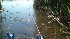 Ловля карася на снасть   резинка.