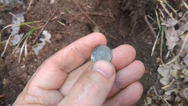 Медно-никелевые монеты в старом лесу ACE250(MD6250) Mars Tiger Copper-nickel Coins In The Old Fores