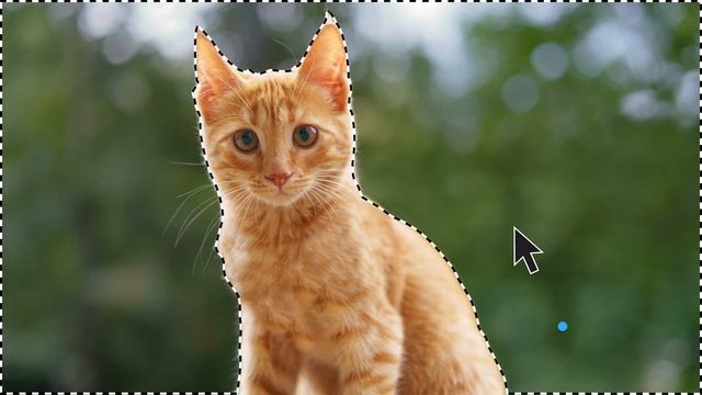 Adobe Photoshop Elements 2022 PC Mac Disc Everything Else Amazon смотреть онлайн