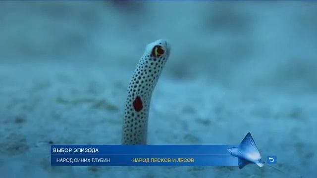 PEOPLE OCEANS D1 menu смотреть онлайн