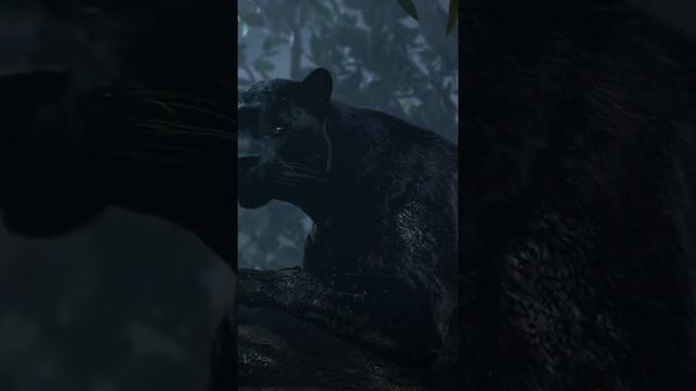 black panther черная пантера защищает малыша смотреть онлайн