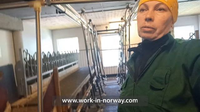 Обзор фермы, где я работаю в Норвегии смотреть онлайн