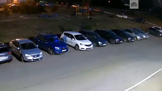 Собаки напали на ребенка смотреть онлайн