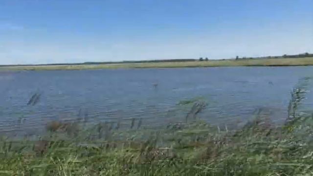 На Урывку в гости со своими кружками и ложками.19. 07. 2020