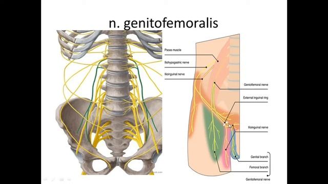 Bel chigali_Бел чигали Иброхимова Л.И смотреть онлайн