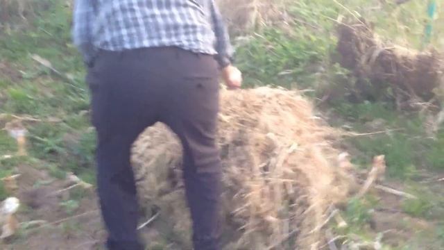 Разведение костра ЖЕСТЬ смотреть онлайн