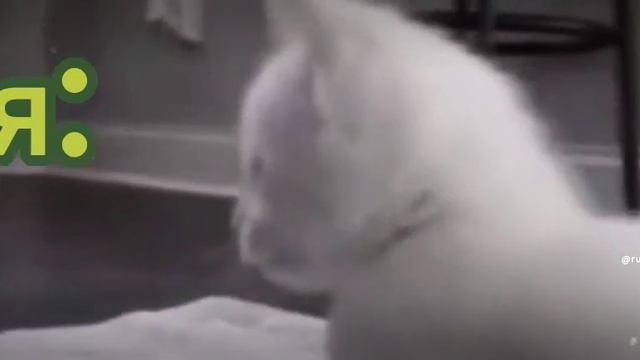 хих смотреть онлайн