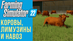 ? Всё о коровах в Farming Simulator 22
