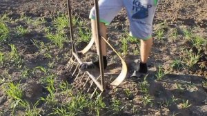 самодельный культиватор, супер лопата, рыхлитель