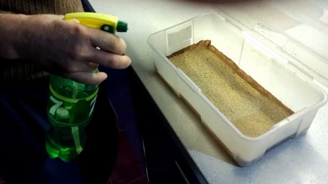 Домашние кулинарные подвиги