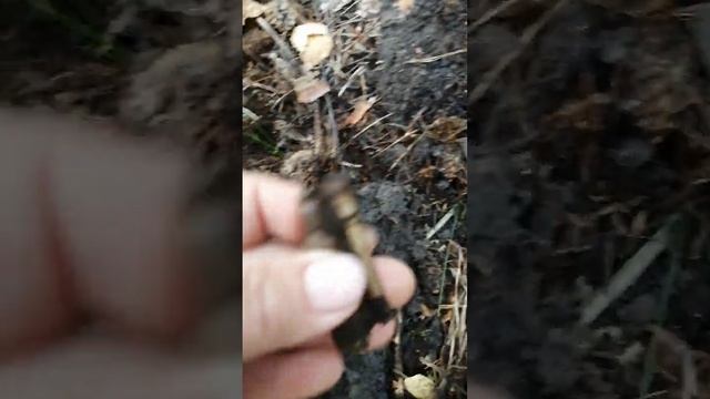 нашли что то интересное смотреть онлайн